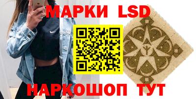 сатива Будённовск