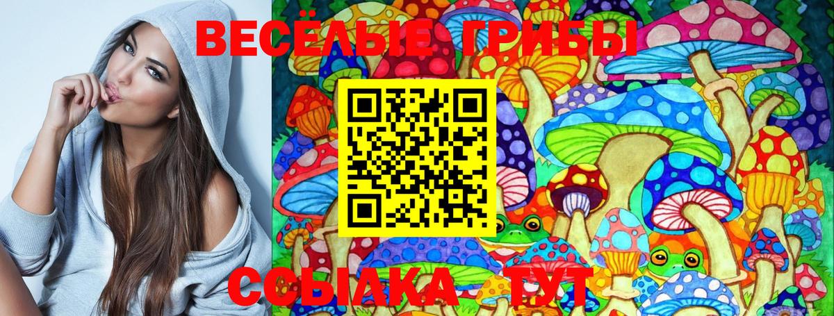 Псилоцибиновые грибы прущие грибы Сальск